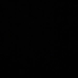 Meet your Posher, Penelope